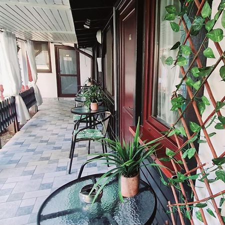Pensiunea Red Rose Apartments ティミショアラ エクステリア 写真