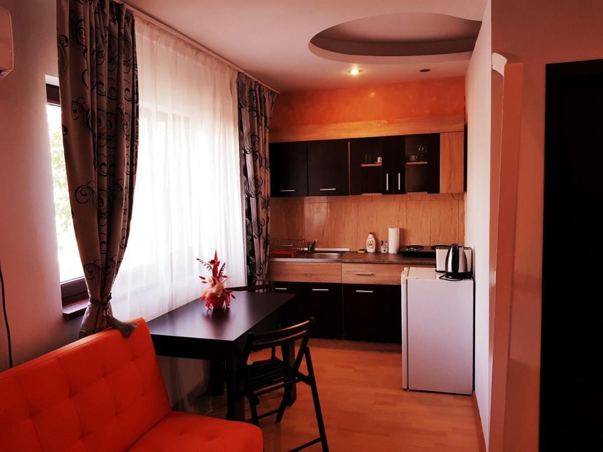 Pensiunea Red Rose Apartments ティミショアラ エクステリア 写真