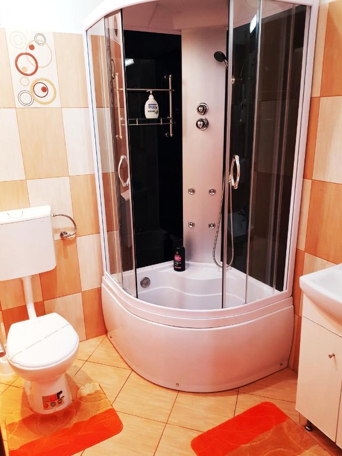 Pensiunea Red Rose Apartments ティミショアラ エクステリア 写真