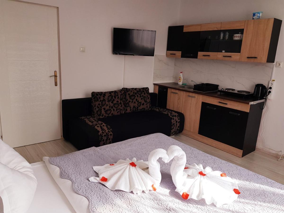 Pensiunea Red Rose Apartments ティミショアラ エクステリア 写真