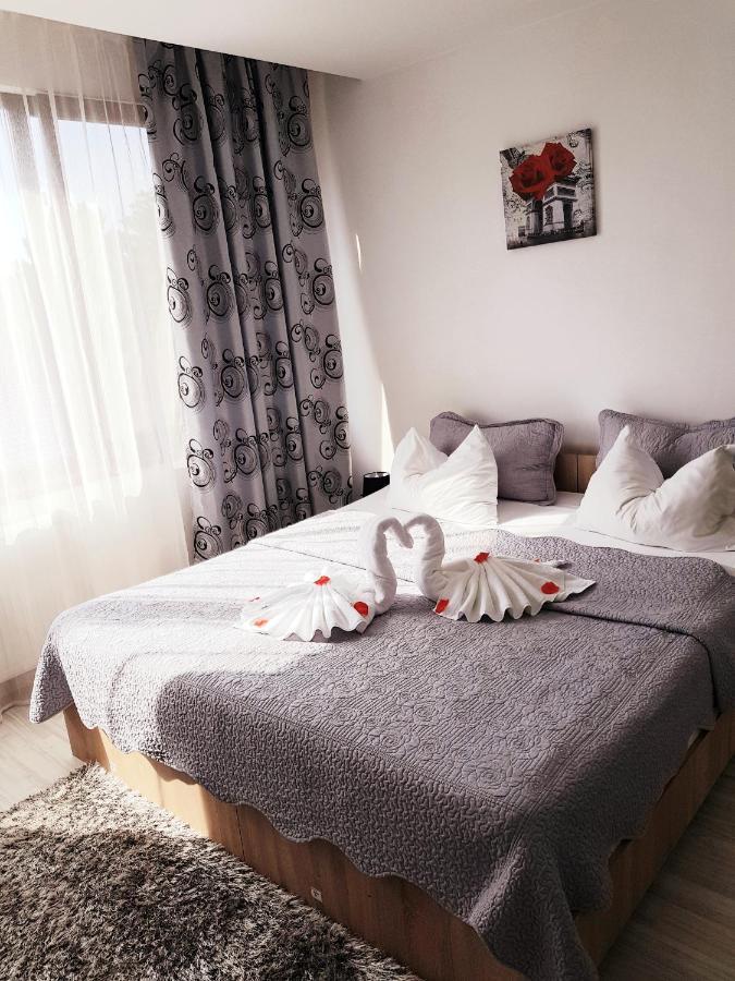 Pensiunea Red Rose Apartments ティミショアラ エクステリア 写真