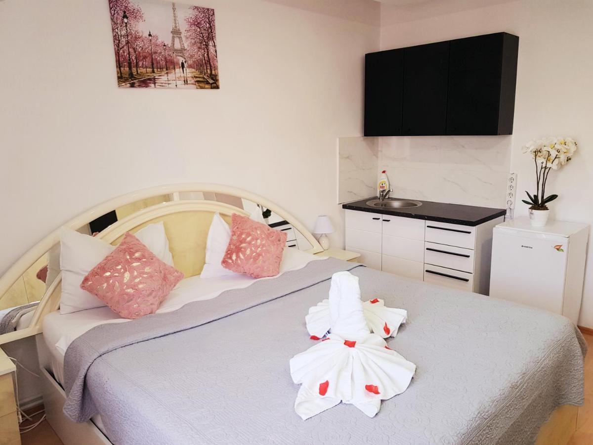 Pensiunea Red Rose Apartments ティミショアラ エクステリア 写真