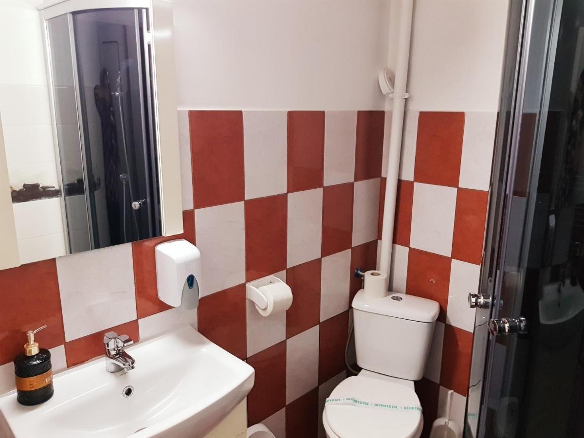Pensiunea Red Rose Apartments ティミショアラ エクステリア 写真