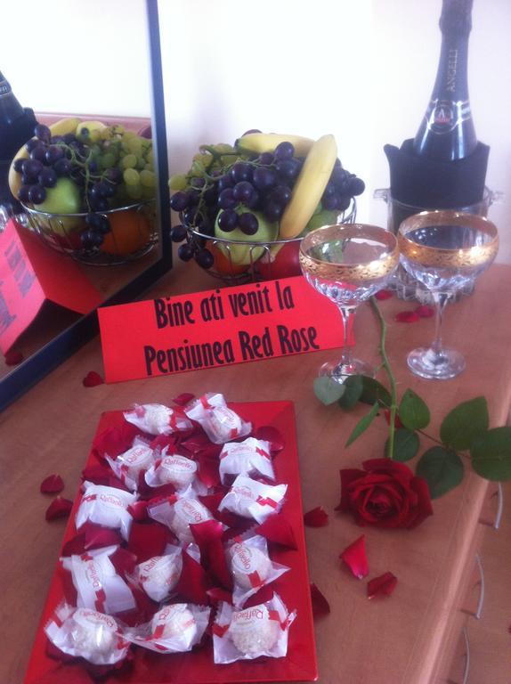 Pensiunea Red Rose Apartments ティミショアラ 部屋 写真
