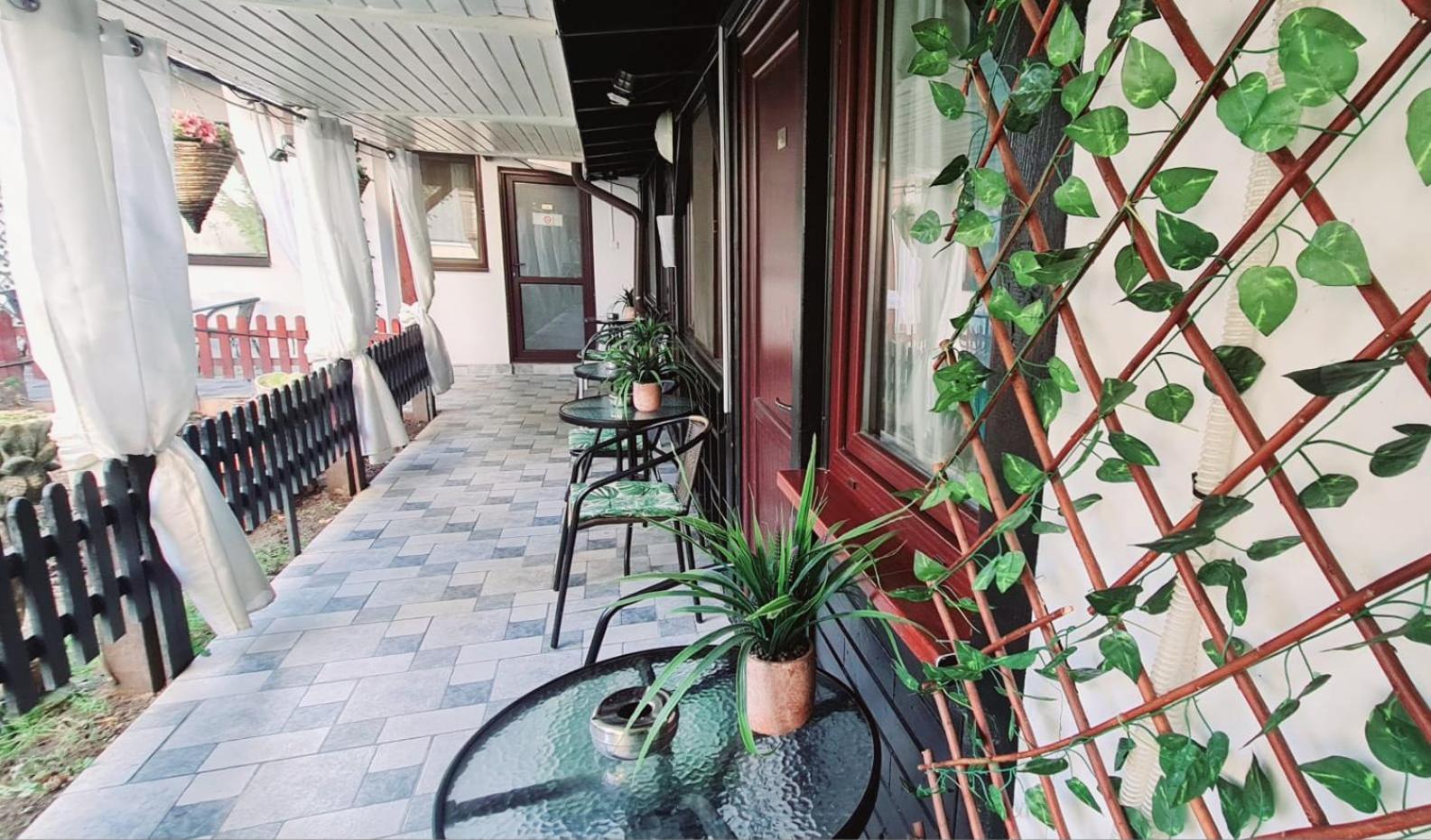 Pensiunea Red Rose Apartments ティミショアラ エクステリア 写真