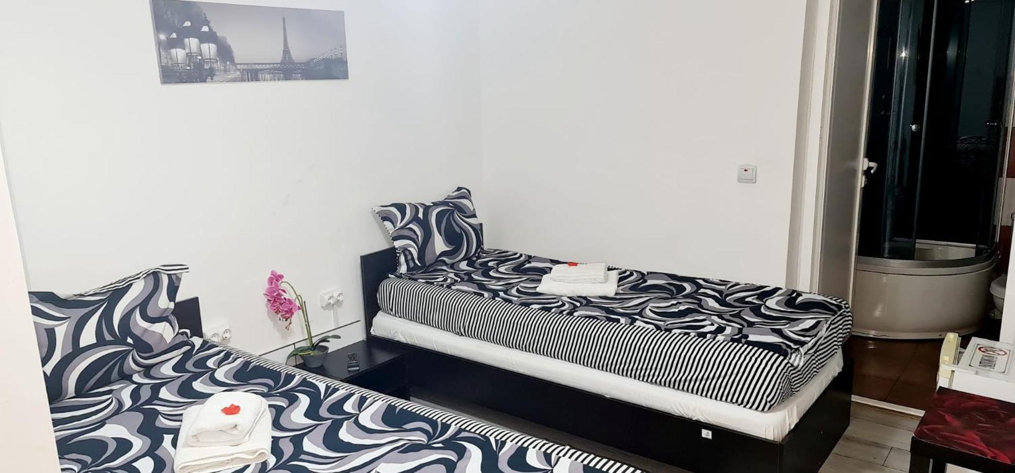 Pensiunea Red Rose Apartments ティミショアラ エクステリア 写真