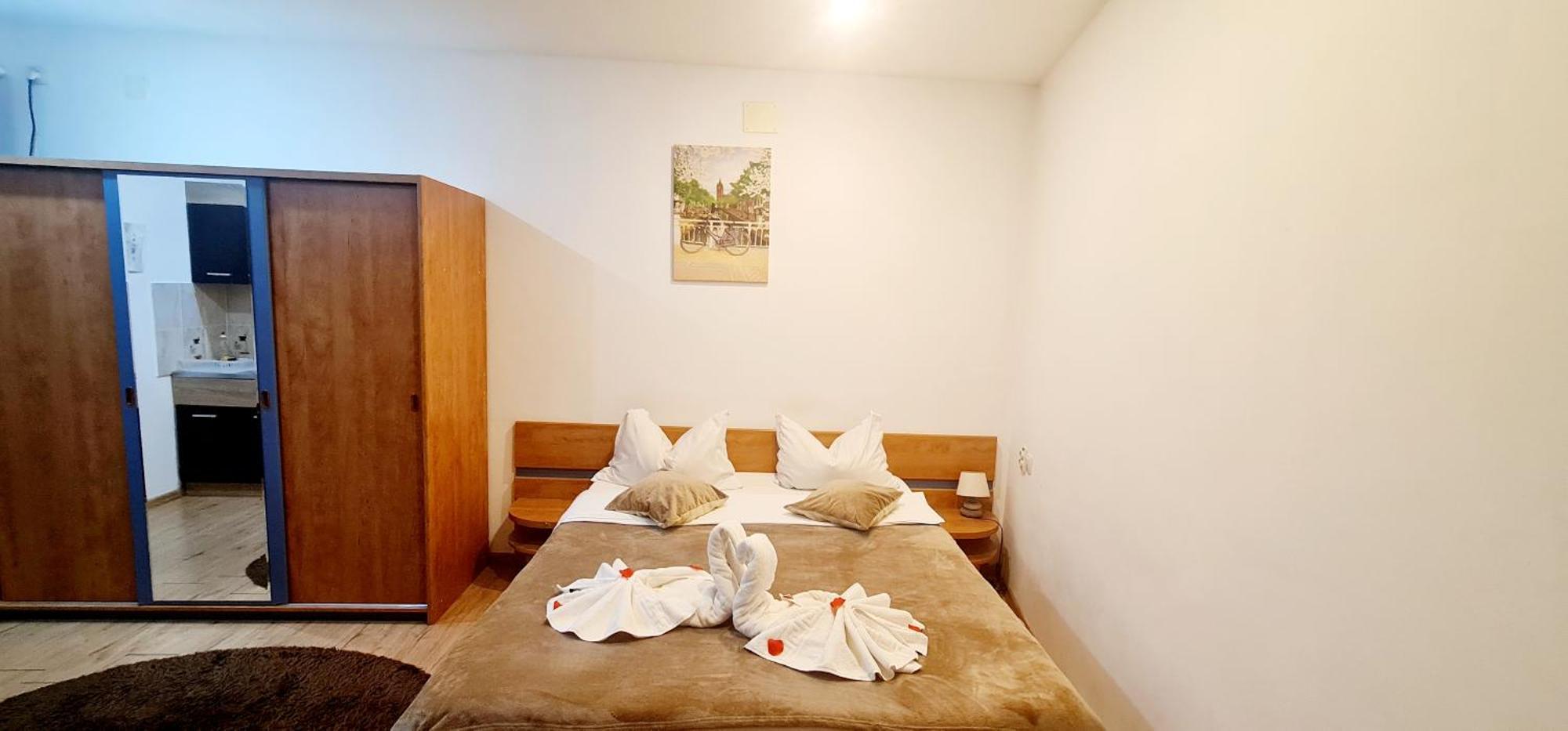 Pensiunea Red Rose Apartments ティミショアラ 部屋 写真