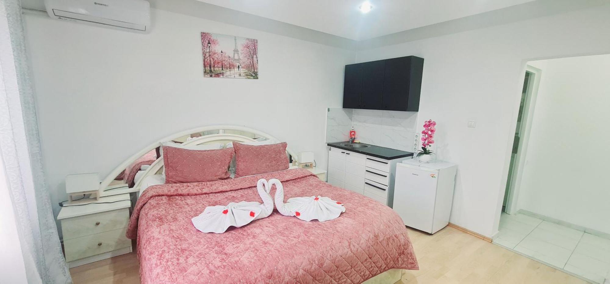 Pensiunea Red Rose Apartments ティミショアラ エクステリア 写真
