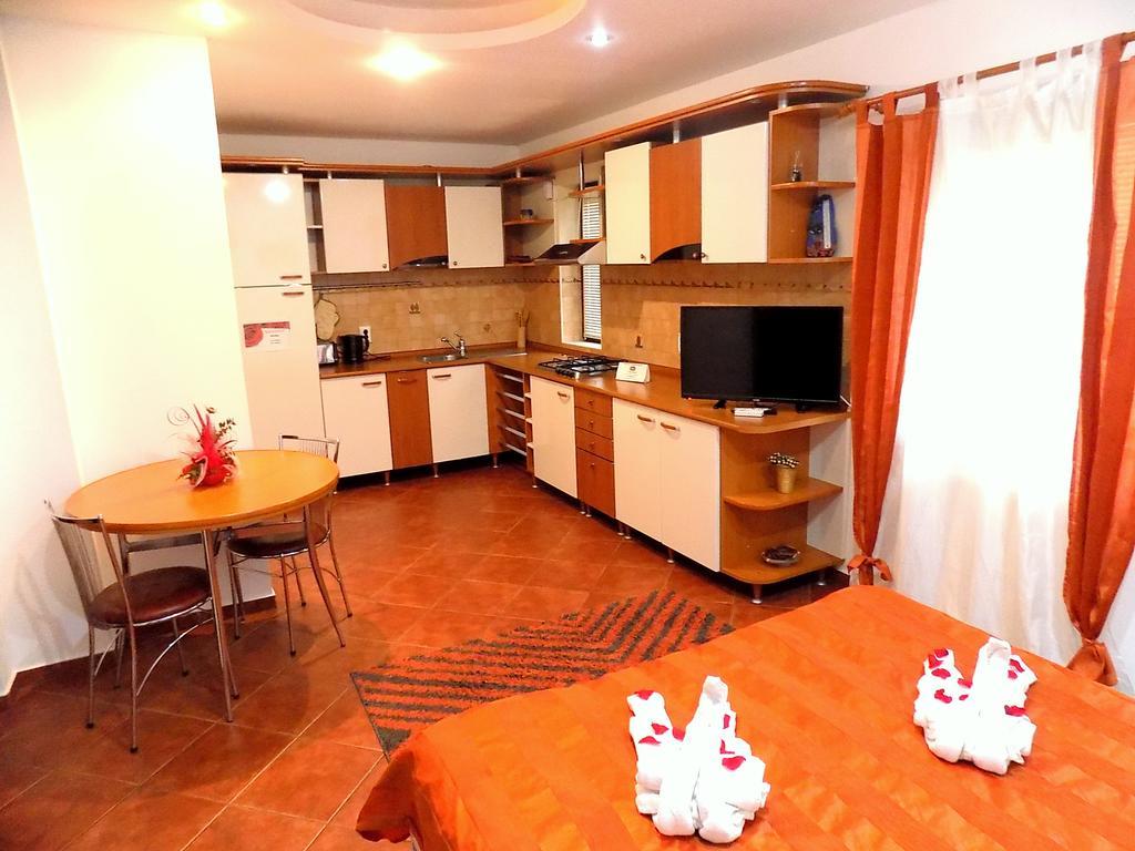 Pensiunea Red Rose Apartments ティミショアラ エクステリア 写真