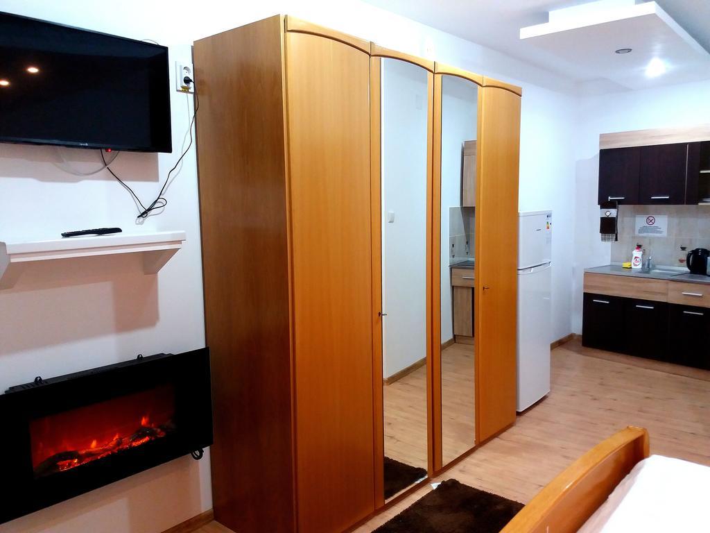 Pensiunea Red Rose Apartments ティミショアラ エクステリア 写真